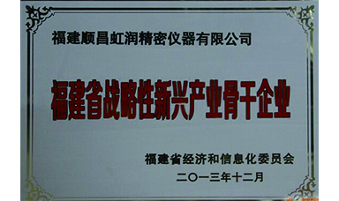 虹潤躋身省級戰(zhàn)略性新興產業(yè)骨干企業(yè)