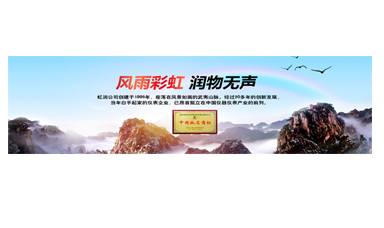 不經(jīng)風(fēng)雨何以見彩虹——在虹潤圓夢(mèng)助學(xué)行動(dòng)座談會(huì)上的講話